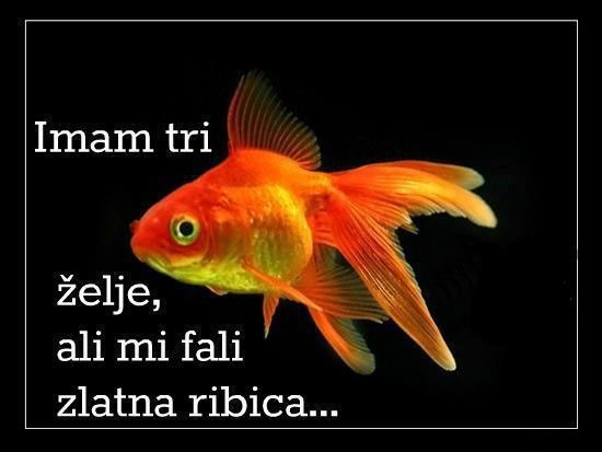 Želje su tu, ribice - uhvati se sama