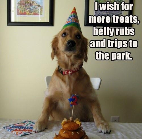 Peso proslavio ročkas i zaželio željice