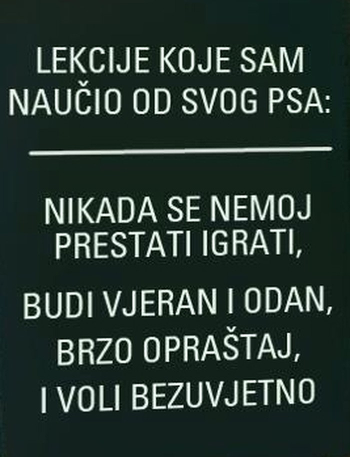 Životne lekcije iz psećeg svijeta
