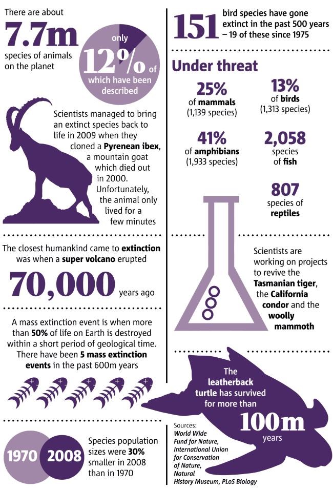 Svijetu prijeti izumiranje