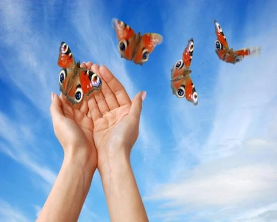 Primjećuj sitnice i raduj im se, dan će ti biti ljepši!