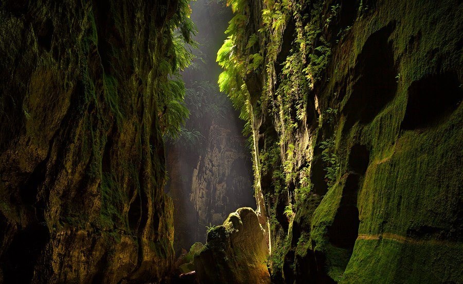 Claustral Canyon, Blue Mountains, Australija