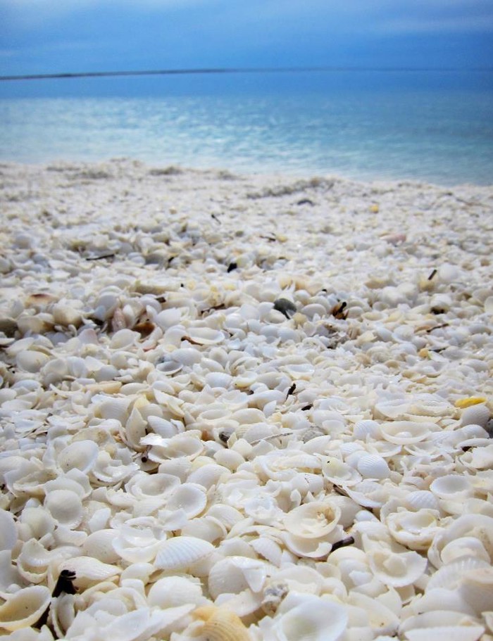Plaža školjaka u Australiji