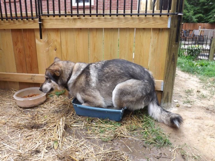 Vrijeme je za kupanje! :D