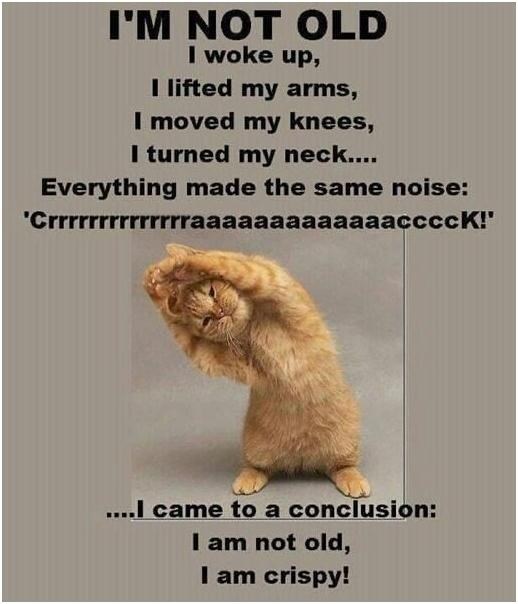 Nisam star nego "hrskav"