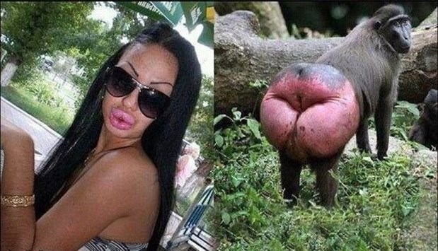 Svaka sličnost sa stvarnim osobama je slučajna?