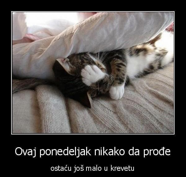 Tek se probudio, a već dosta ponedjeljka...