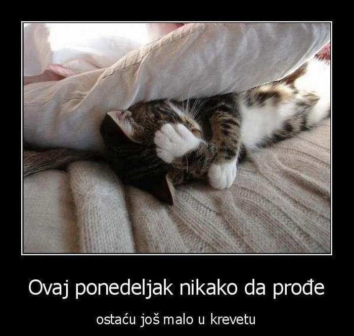 Tek se probudio, a već dosta ponedjeljka...