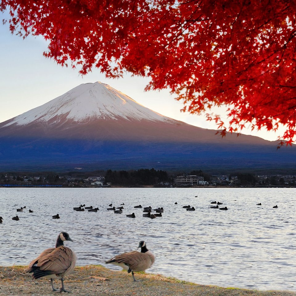 Zimski suton u Japanu