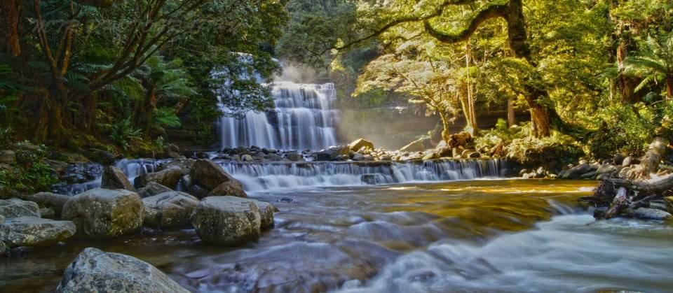 Liffey slapovi, Australija