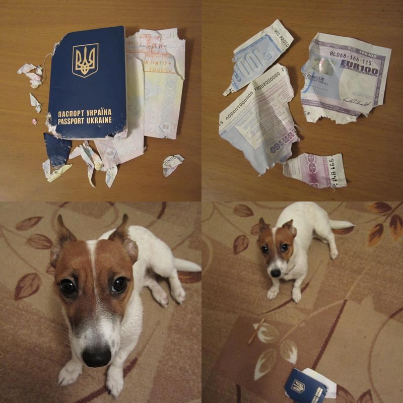 Sorry stari, al nema šanse da putuješ i ostaviš me samog!