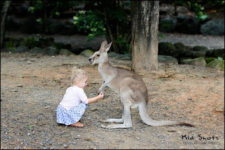 Curica i klokan - prijatelji u šetnjici