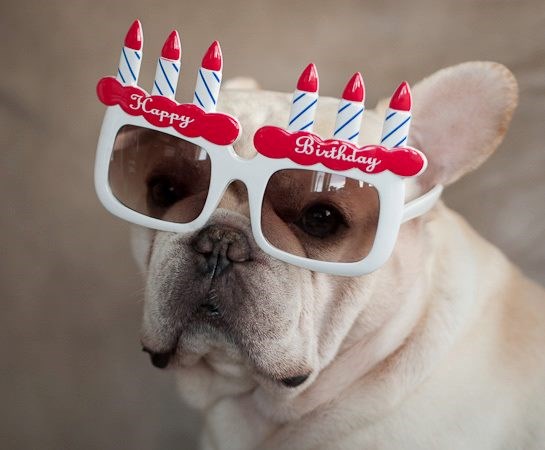 Kad pravi frajer slavi ročkas