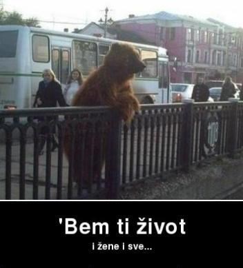 Medo se razočarao u život, tužno gleda s mosta