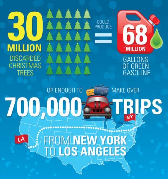 A da možda ipak kupiš drvce u tegli i zasadiš ga kasnije?