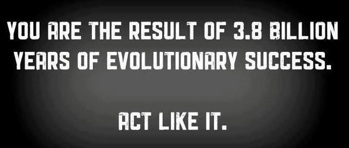 Ti si dokaz da je evolucija uspjela - onda se i ponašaj tako