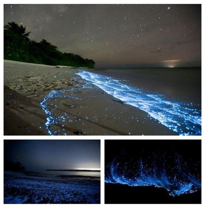 Fluorescentni valovi za noćnu idilu na pješčanoj plaži