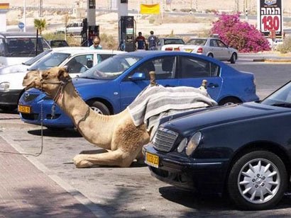 Deva nepropisno parkirana, nos joj visi preko crte