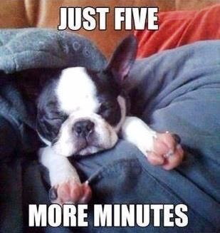 Muke po ustajanju - svakog jutra isto