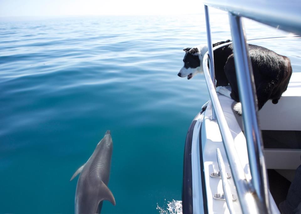 Evo me mala, sad skoknem k tebi