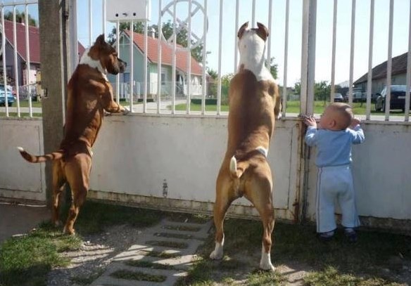 "Samo ti nama pokaži tko te gnjavi na ulici"