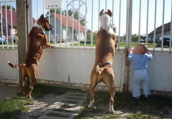 "Samo ti nama pokaži tko te gnjavi na ulici"