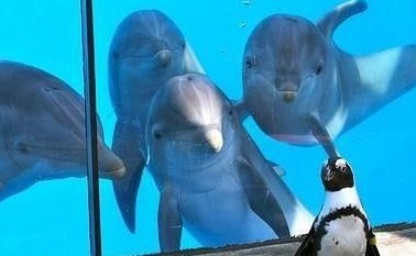 Ej, kak si uspio zbrisati van?