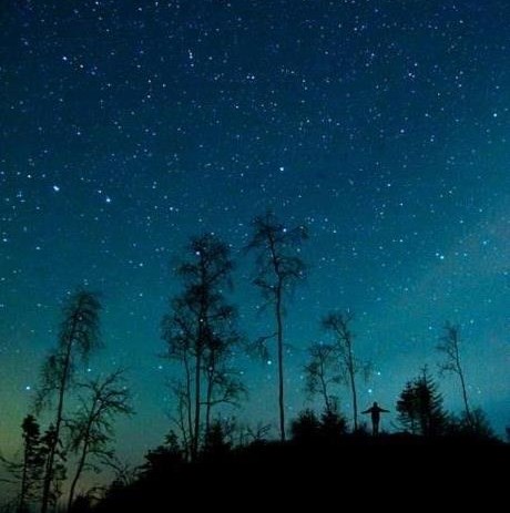 Čarobna šumska noć pod zvijezdama