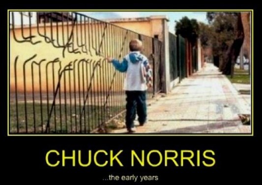 Mladi dani Chucka Norrisa