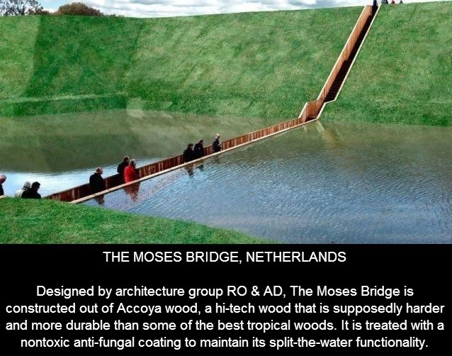 "Mojsijev most", Nizozemska