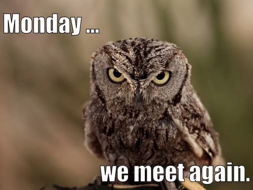 Suočavanje sa surovom stvarnošću nakon produženog vikenda