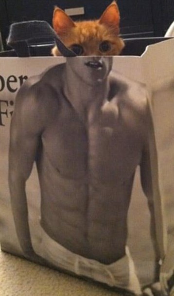 Catwoman, čuvaj se, evo catmana!