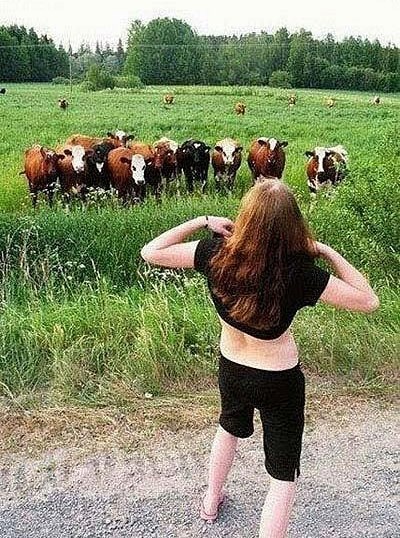 I krave su ostale šokirane prizorom...