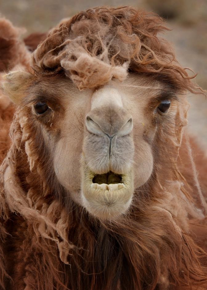 Deva začuđena jer je opet fotkaju