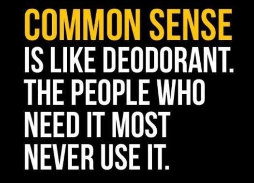 Zdrav razum ko dezić - oni koji bi trebali ne koriste ga