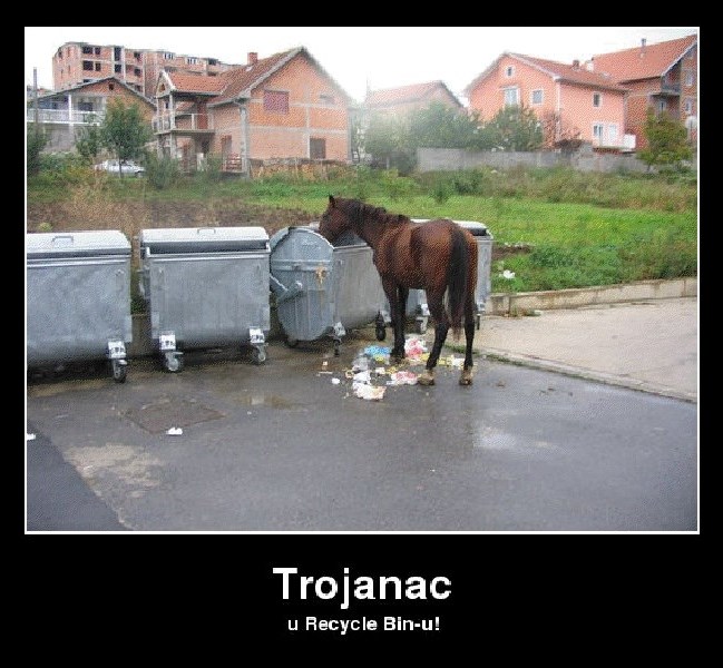 Kad informatički geek uoči konja u kontejneru