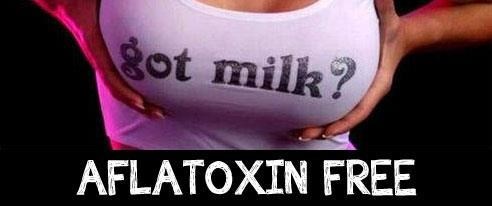 Mlijeko u kojem nema aflatoksina