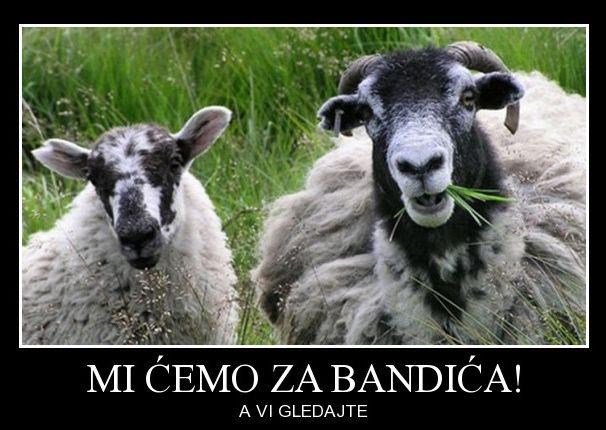 One su oduševljene najnovijim potezima Batman gradonačelnika