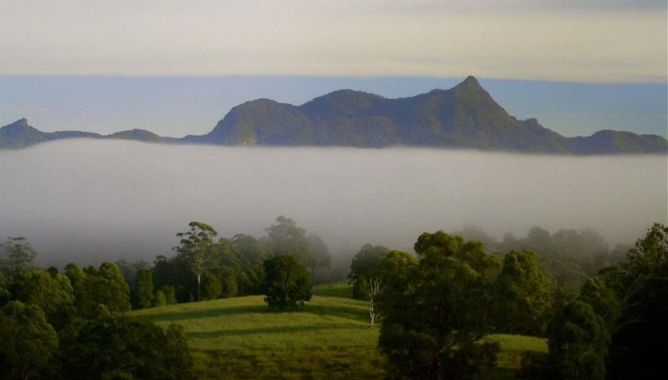 Čarolija prirode - magla prepolovila sliku