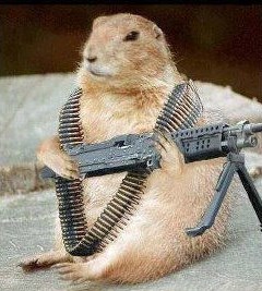 Pakleno opasan dabar