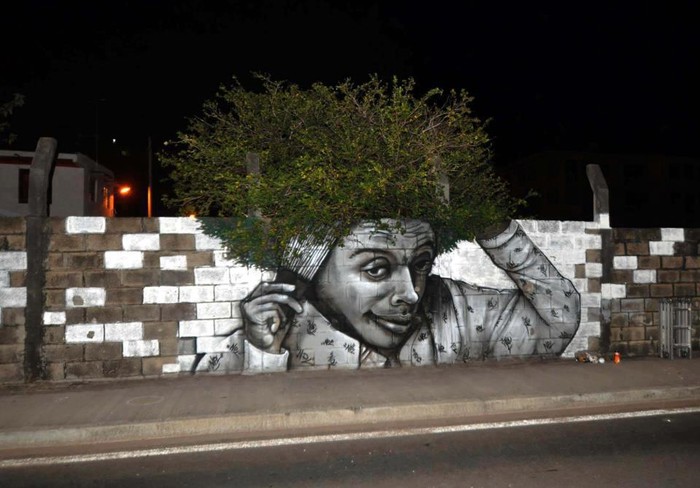 Drvo kao odlična frizura grafitu