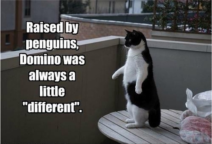 Nikad mu nije palo na pamet da bi mogao biti usvojen ;)