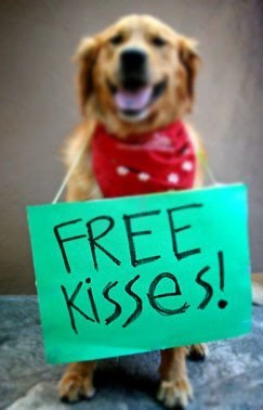 Ma tko bi odbio besplatnu pusu ovog slatkiša :)))