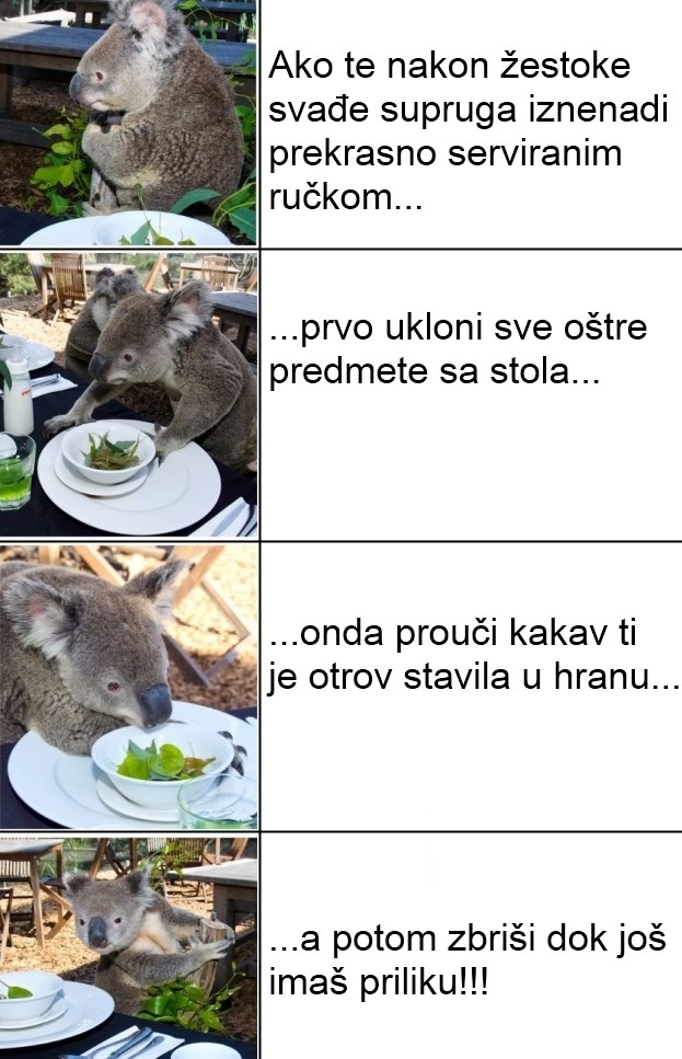 Tko je hrabar doći doma na ručak ako je ženi digao živac? :D