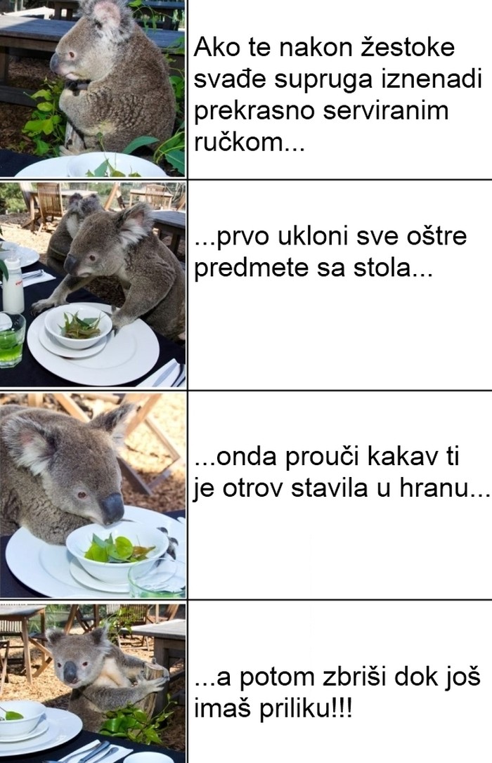 Tko je hrabar doći doma na ručak ako je ženi digao živac? :D