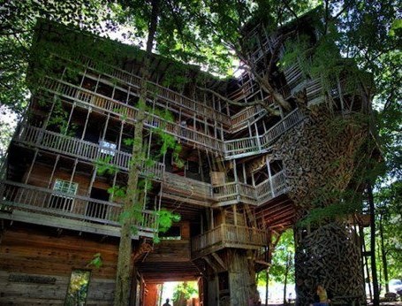 "Kućica" na drvetu iz snova :)