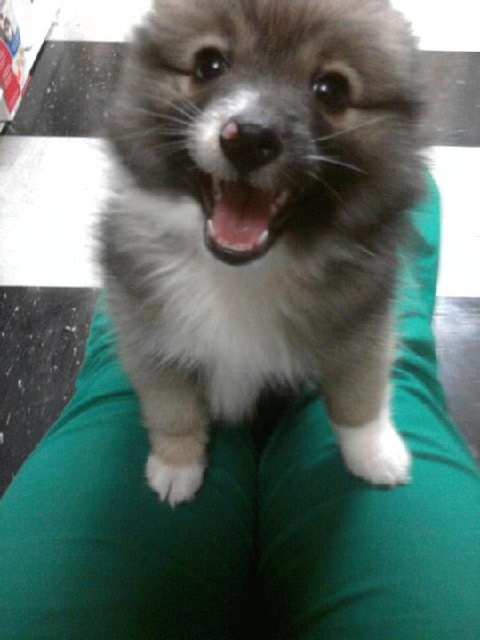 Gazda! Gazda! Jel tak da je vrijeme za klopicu?!