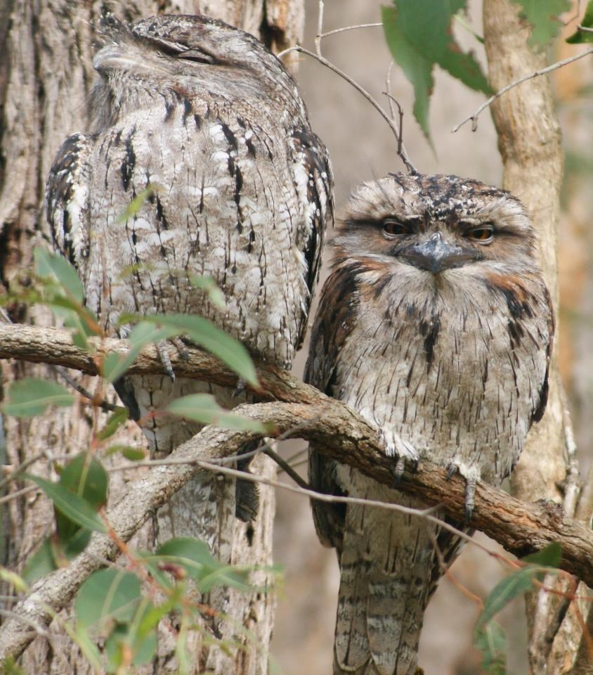 "Opet se nadurila, a siguran sam da nisam ništa kriv!"