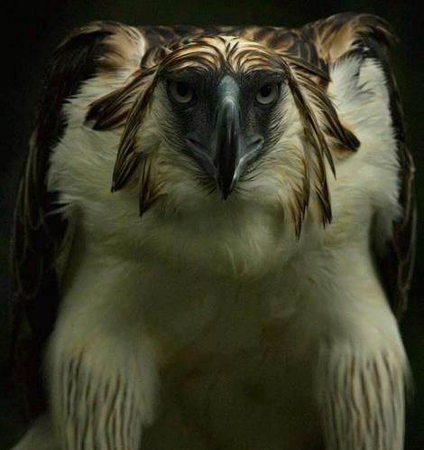 Kome ćeš ti govoriti da je mala slatkica?!