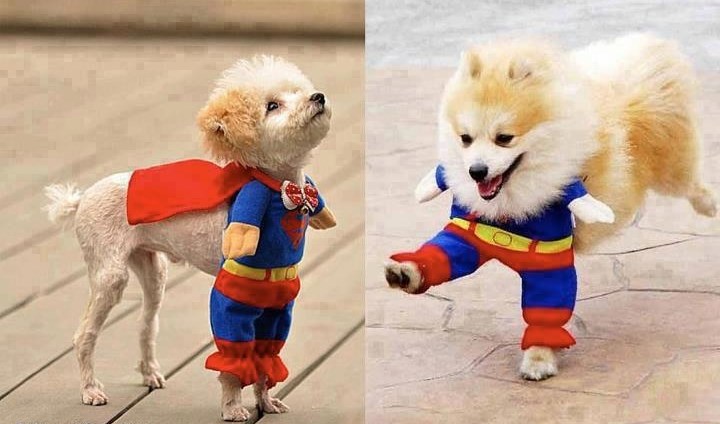 Čupavi superheroji u akciji